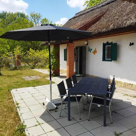 Villa Boroka Tanya Orgovany Exterior foto