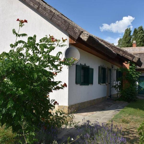 Villa Boroka Tanya Orgovany Exterior foto